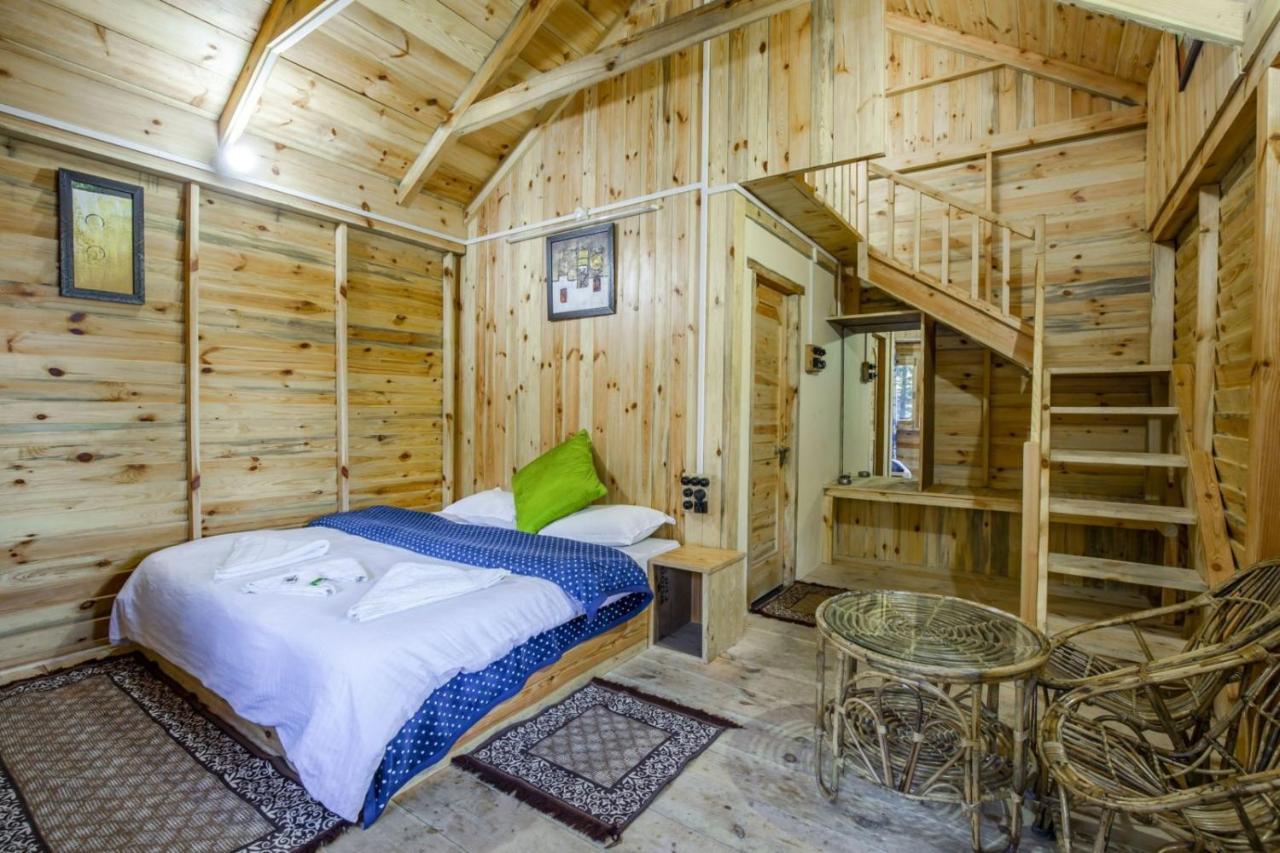 Mid Conifer Cottage دالهوزي المظهر الخارجي الصورة