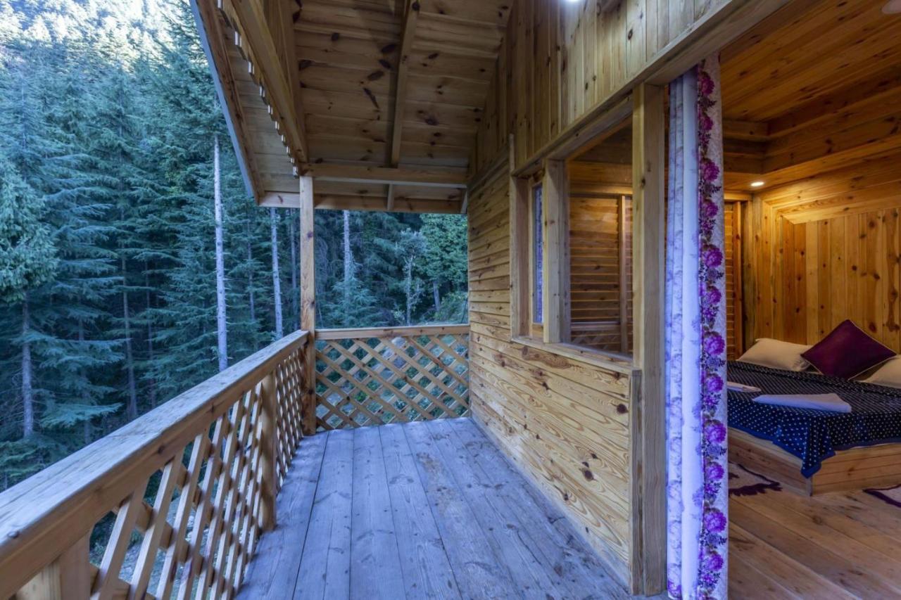 Mid Conifer Cottage دالهوزي المظهر الخارجي الصورة