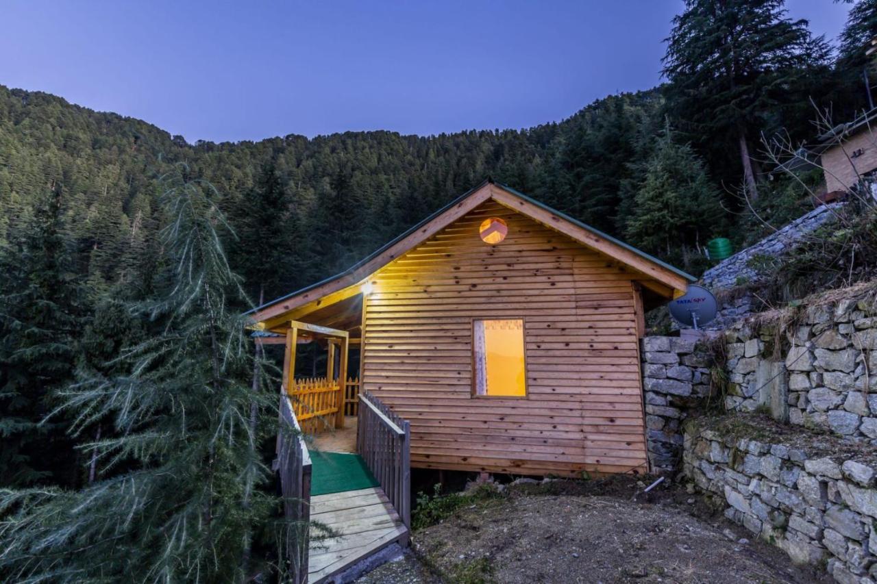Mid Conifer Cottage دالهوزي المظهر الخارجي الصورة