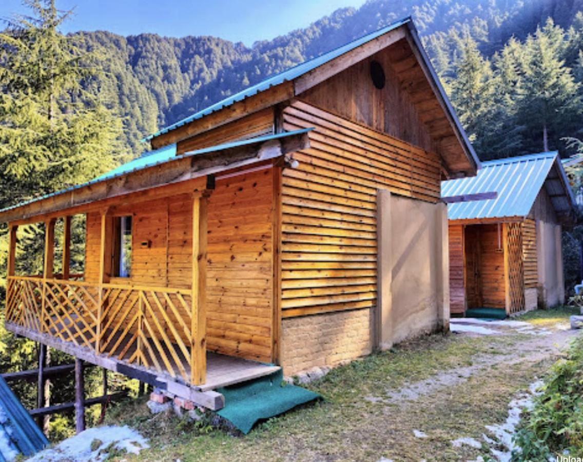 Mid Conifer Cottage دالهوزي المظهر الخارجي الصورة
