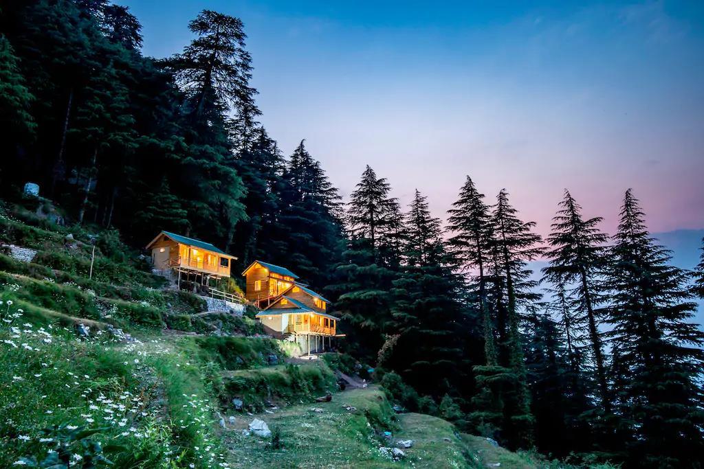 Mid Conifer Cottage دالهوزي المظهر الخارجي الصورة