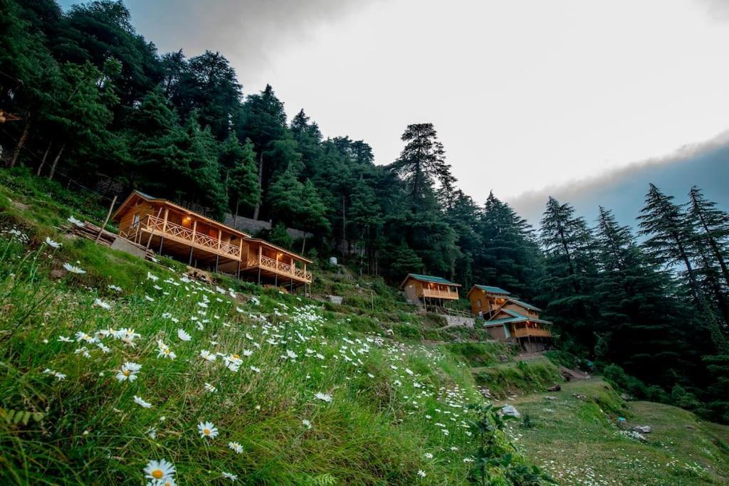 Mid Conifer Cottage دالهوزي المظهر الخارجي الصورة